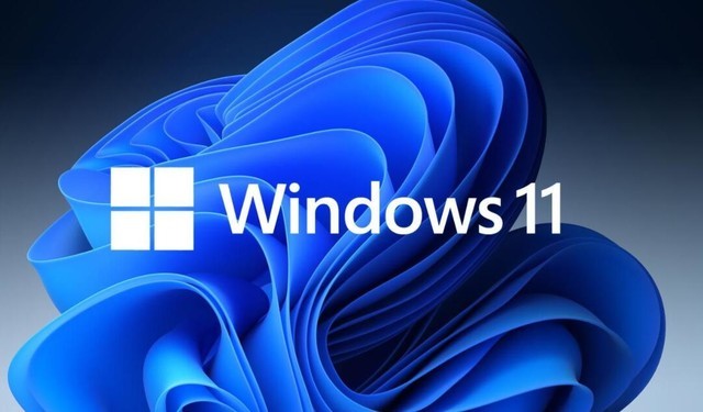 Windows 11 家庭版/教育版/专业版/专业教育版/专业工作